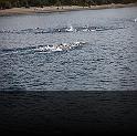 Comen Cup 2009 434